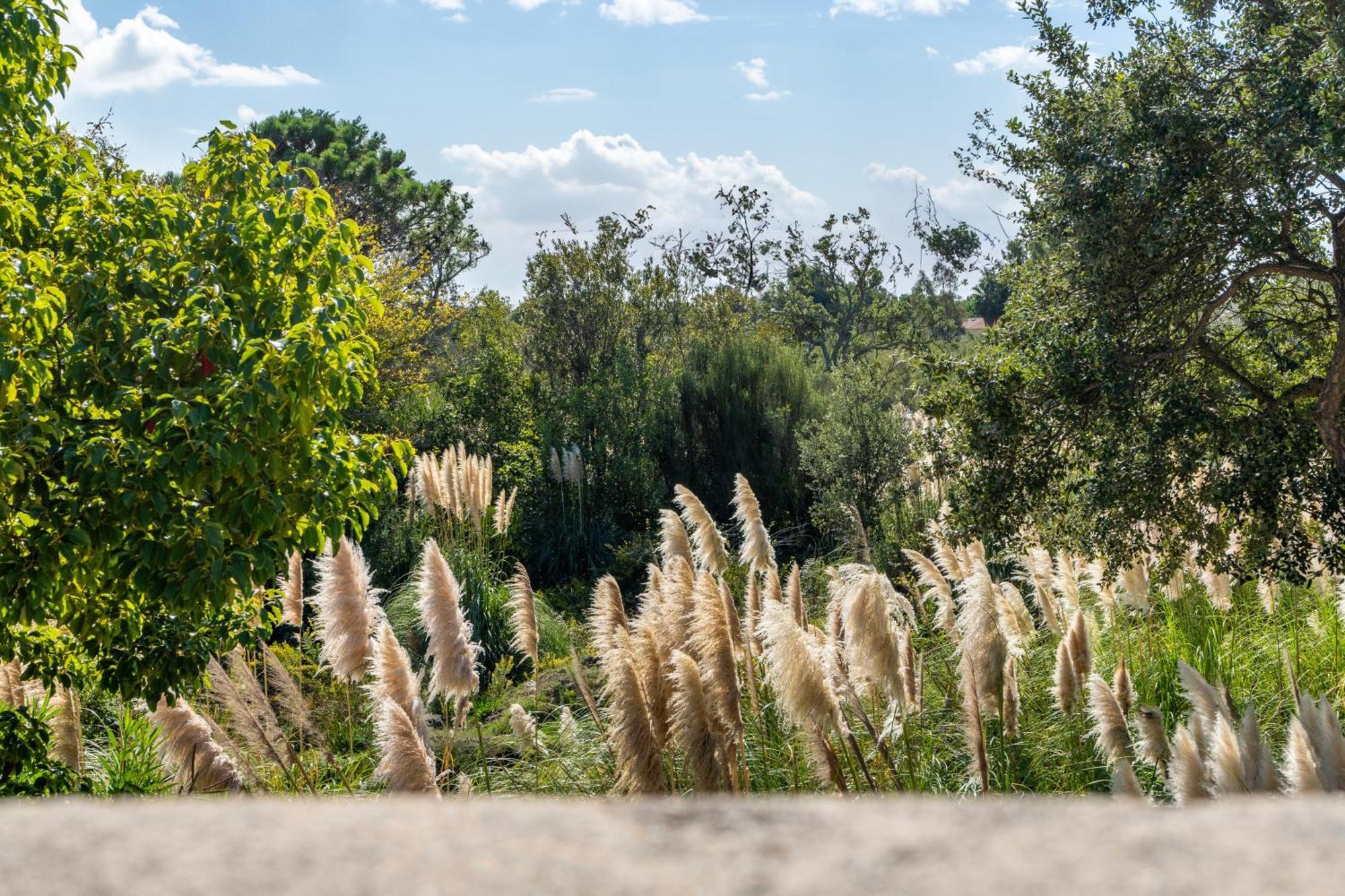 بورتو فيكشْيو Residence Domaine De Caranella المظهر الخارجي الصورة